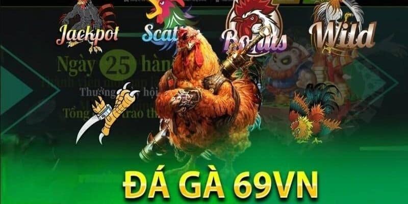 Đá Gà 69VN