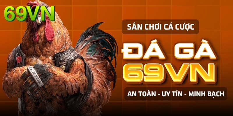 Đá gà phát sóng cuộc chiến kinh điển